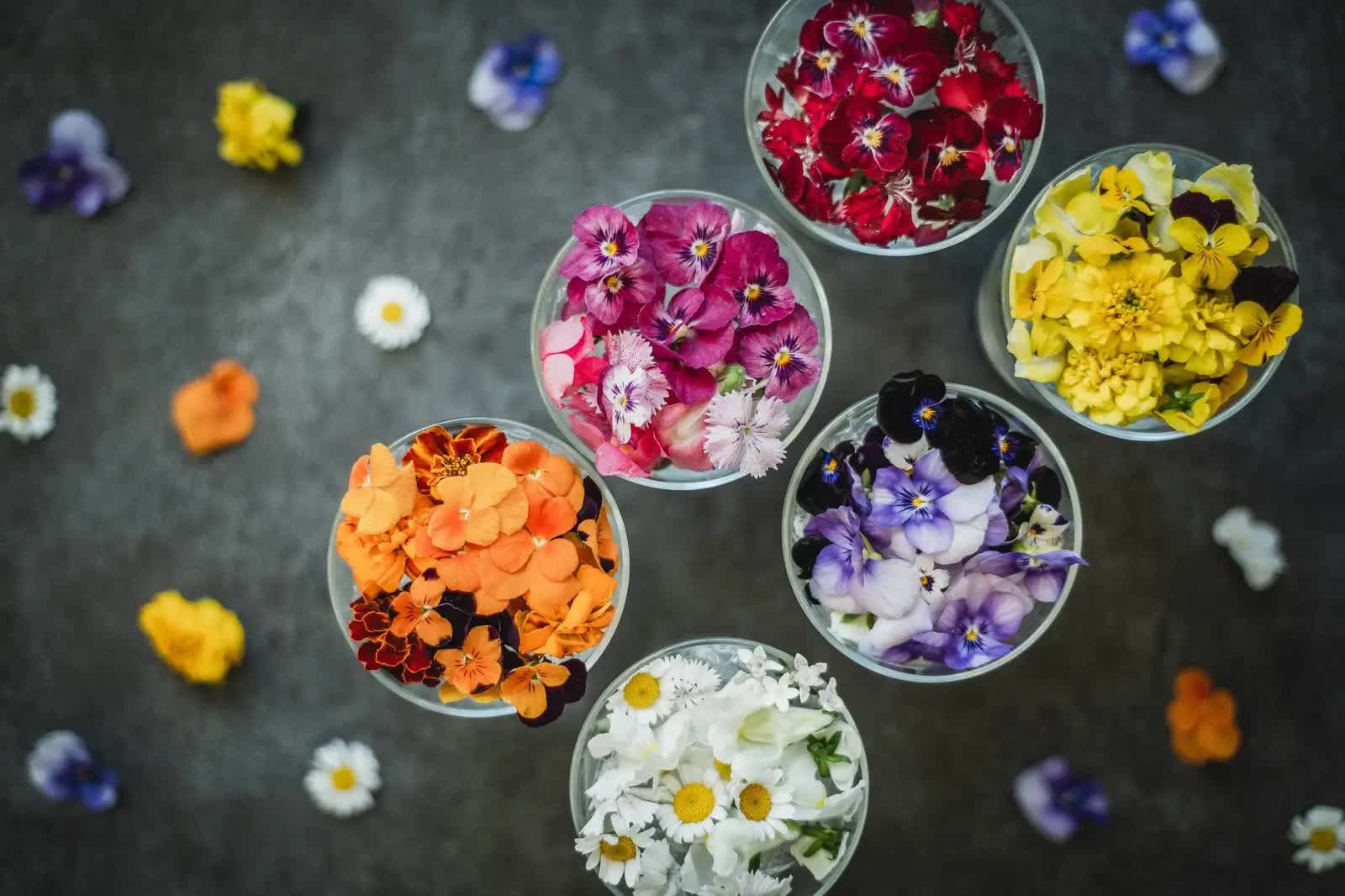 Edible flowers