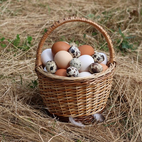 Free-range eggs from Liang Kee Fresh