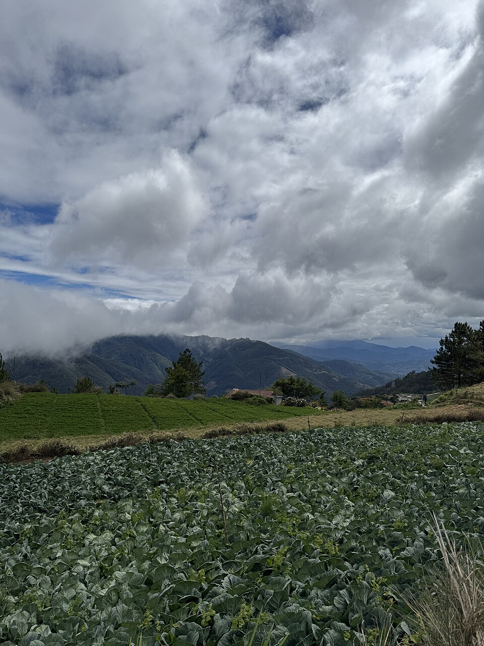 Highland farm