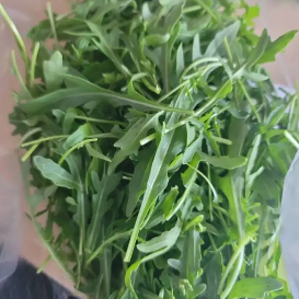 Fresh Studio rocket salad