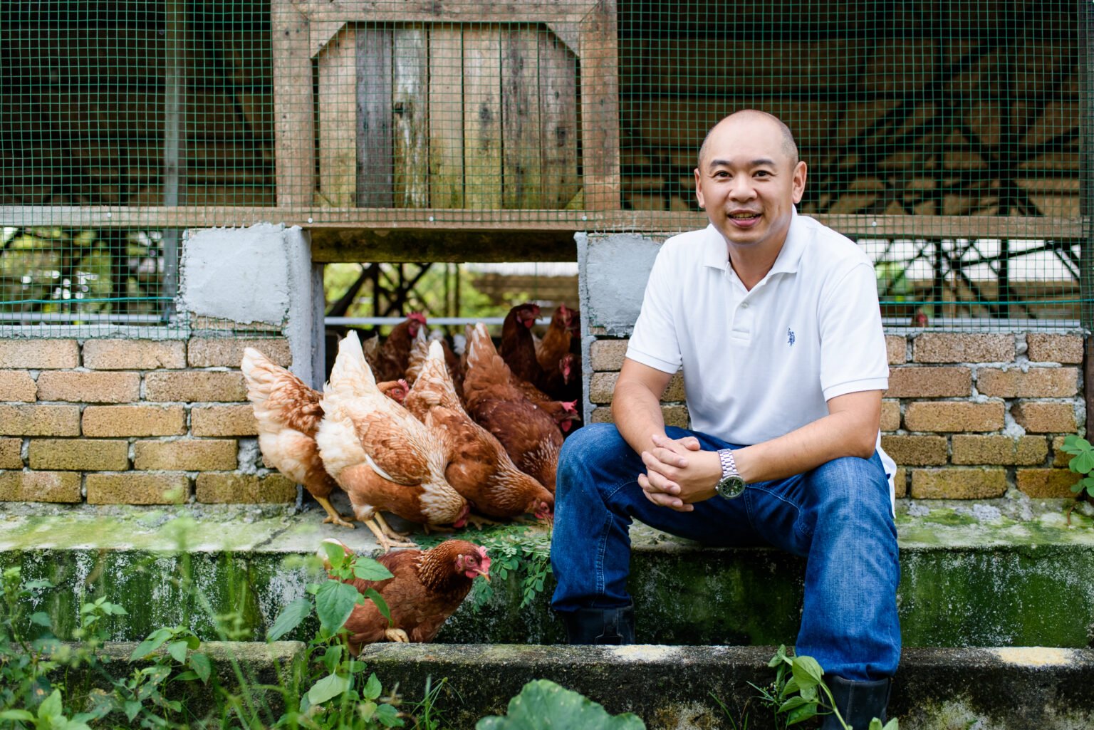Liang Kee Fresh farmer collecting free-range eggs