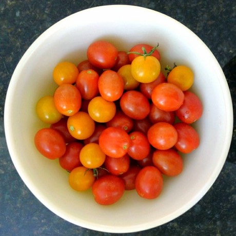 Tomatoes